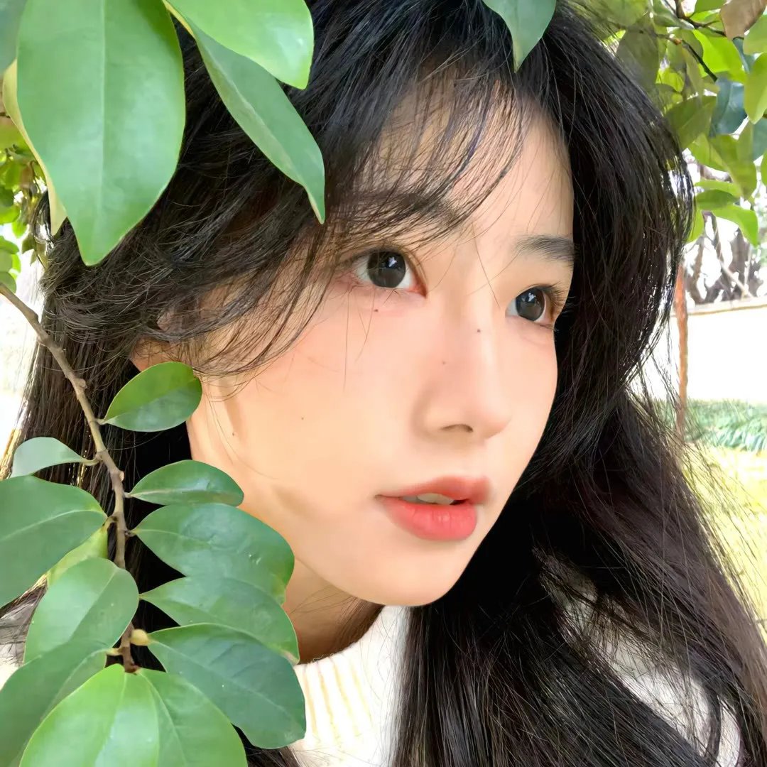 同志亦凡人第五季